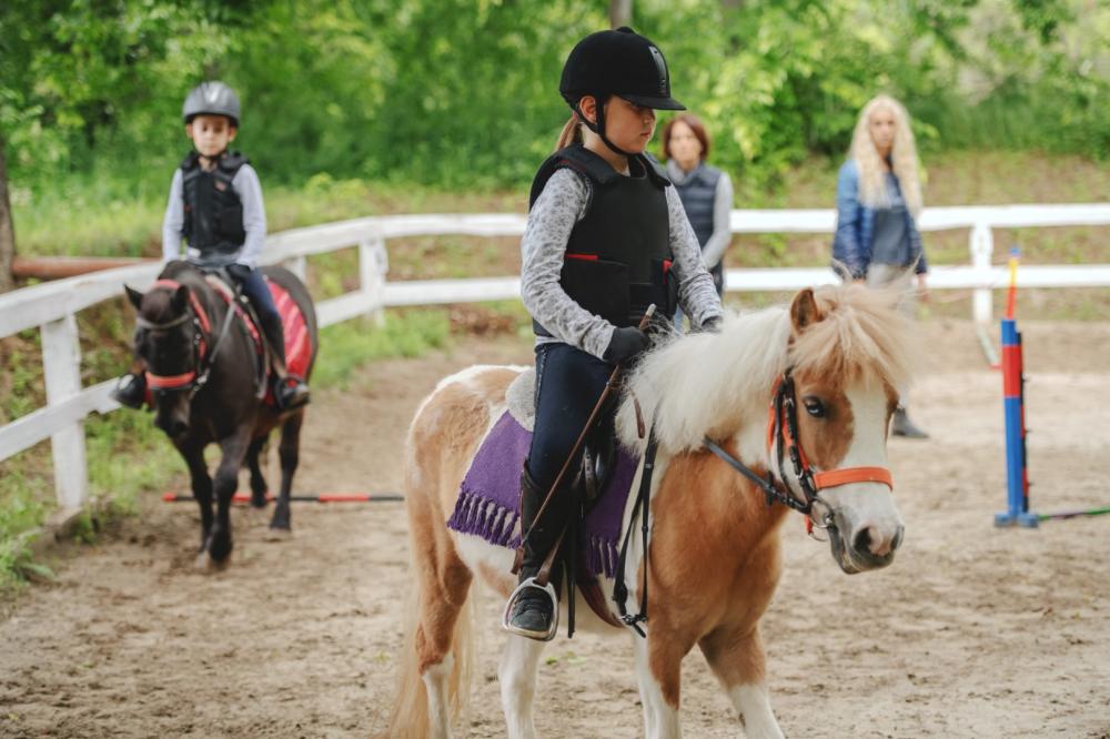 Pension chevaux à Razès